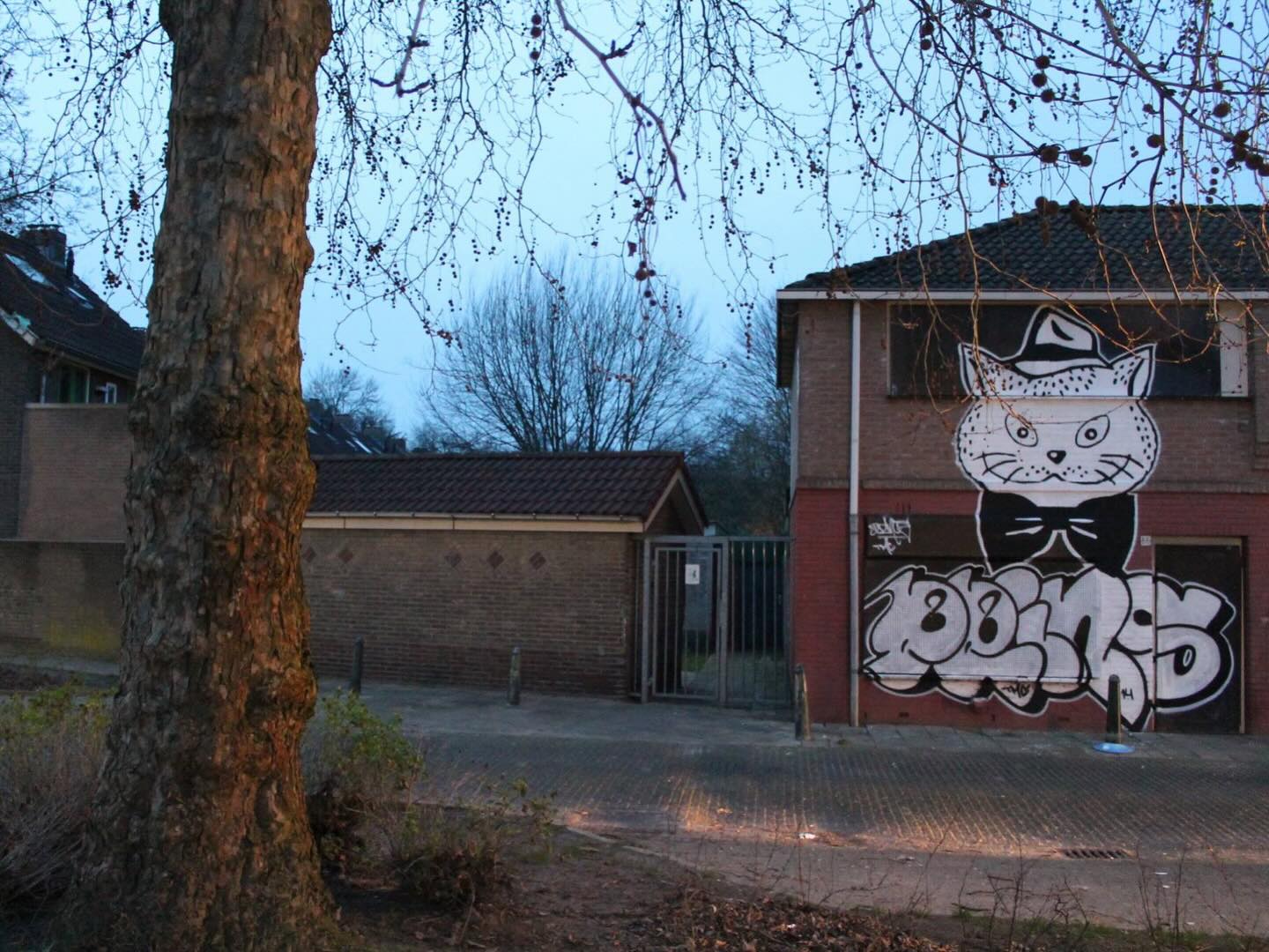 Een grote geschilderde Gato uit 2014 in zijn stedelijke omgeving