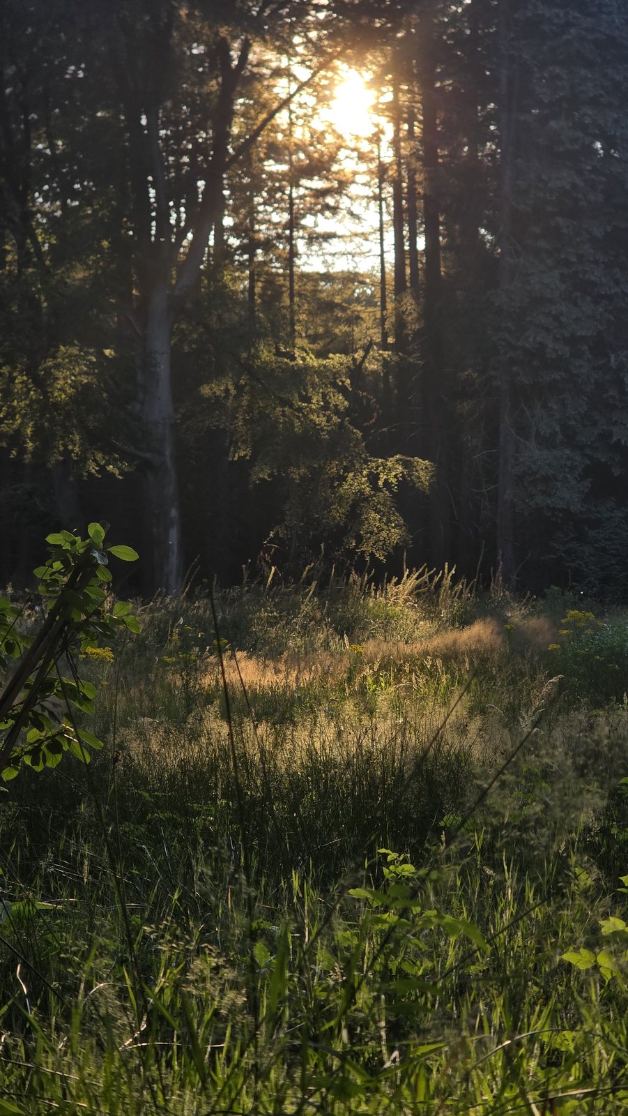 Landschapsfotografie door communitylid Niels