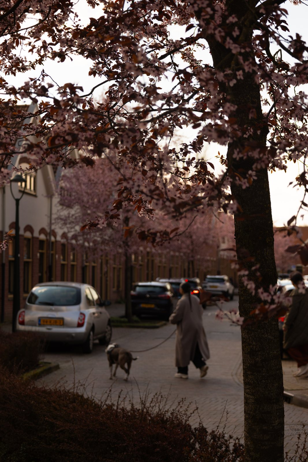 Voorbeeld van straatfotografie door Shreyas